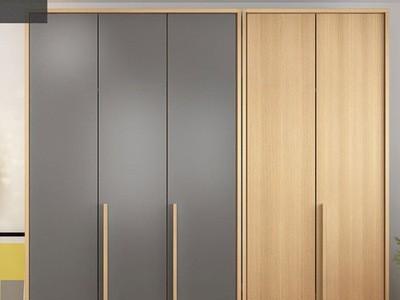 全屋定制家具板式衣柜 卧室简约收纳 整体橱柜门推拉衣柜工厂定制图2