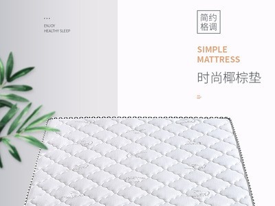 椰棕3E椰梦维棕垫薄床垫偏硬可定制折叠酒店公寓员工舒适加厚床垫图2