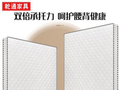 床垫双人家用五星酒店宾馆椰棕垫经济型民宿榻榻米棕榈弹簧垫子图2