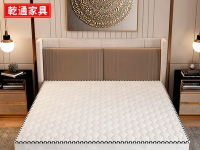 床垫双人家用五星酒店宾馆椰棕垫经济型民宿榻榻米棕榈弹簧垫子图4
