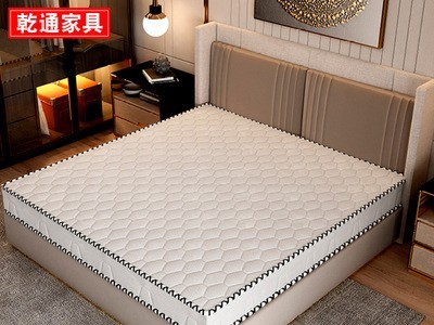 床垫双人家用五星酒店宾馆椰棕垫经济型民宿榻榻米棕榈弹簧垫子图3