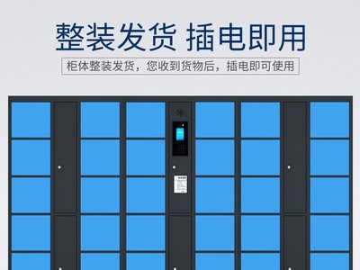 智能电子存包柜人脸识别员工存包柜储物箱超市寄存柜扫码收费柜图2