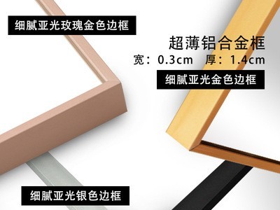 五福星壁挂全身镜铝框穿衣镜家用试衣镜挂墙服装店简约落地大镜子图3