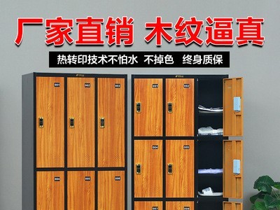 河洛乐华木纹更衣柜仿木加厚铁皮柜钢制储物柜健身房员工宿舍衣柜图3