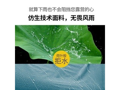 探险者户外二室一厅帐篷8-10人家庭双层防雨 露营郊游大帐篷批发图2