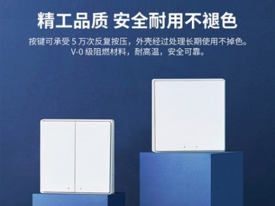 无线开关D1智能无线遥控双键开关面板免布线远程语音控制图2