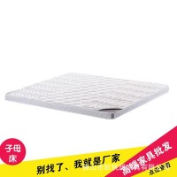 批发软硬家用天然椰棕床垫 学生宿舍折叠床垫 可定制透气防潮环保