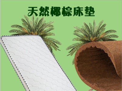 批发软硬家用天然椰棕床垫 学生宿舍折叠床垫 可定制透气防潮环保图2