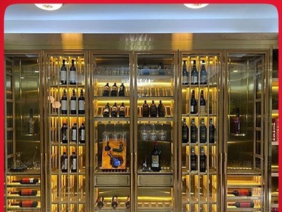 酒窖地下室红酒柜 展示酒架陈列柜 组合玻璃恒温恒湿不锈钢酒柜