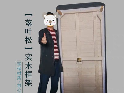 布艺沙发小户型公寓客厅酒店出租房北欧简易双三人组合科技布乳胶图4