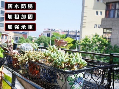 客厅多肉室内置物架花盆架阳台小花架悬挂式铁艺护栏花盆架防盗网图3