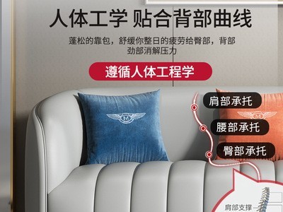 美式后现代轻奢真皮沙发组合客厅小户型港式设计师网红家具皮沙发图3
