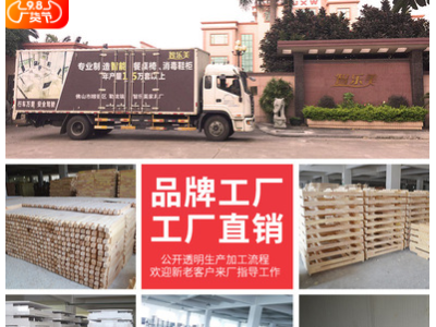 电子智能鞋柜除臭杀菌烘干抽湿擦鞋机现代简约白色小户型家用鞋柜图2