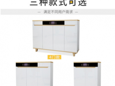 电子智能鞋柜除臭杀菌烘干抽湿擦鞋机现代简约白色小户型家用鞋柜图5