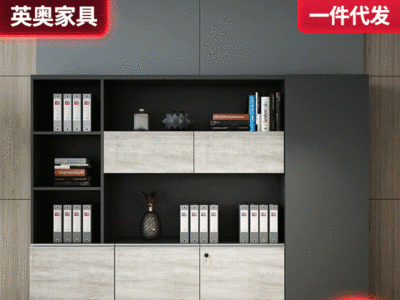 英奥办公家具文件柜木质老板书柜板式资料档案储物收纳室背景柜子图3