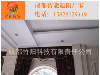 升降窗帘 升降窗帘 电动升降开合帘 遥控升降窗帘 升降会标图3