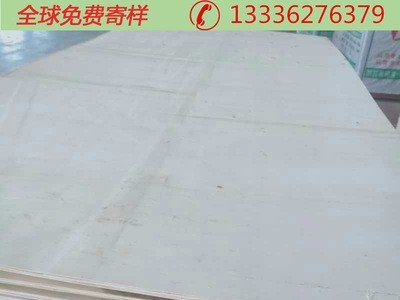 厂家直供 8-40mm 多层板 胶合板 包装板图4
