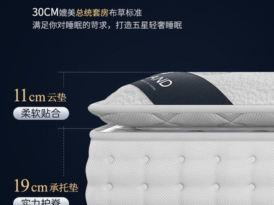 天然乳胶床垫五星级酒店公寓床垫双用拆卸独立弹簧席梦思床垫批发图5