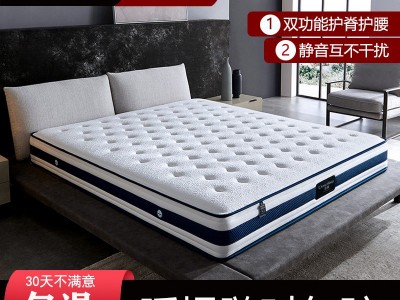 寝睡床垫天然乳胶独立弹簧床垫软硬两用3E环保椰棕家用席梦思定做