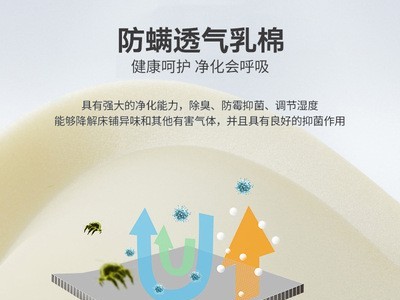 天然乳胶床垫 席梦思天然椰棕垫弹簧加厚1.8米软硬酒店民宿舍家用图2