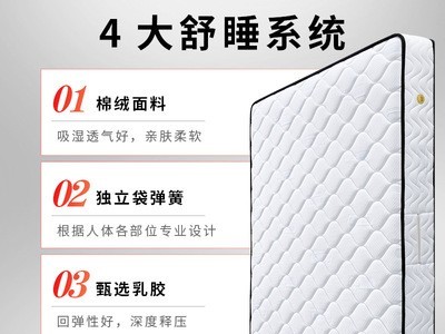弹簧床垫加厚20CM席梦思床垫1.5米1.8米乳胶椰棕软硬两用支持定制图3