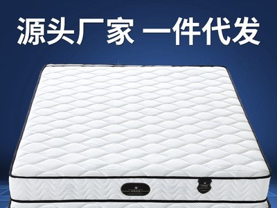 弹簧床垫加厚20CM席梦思床垫1.5米1.8米乳胶椰棕软硬两用支持定制图2