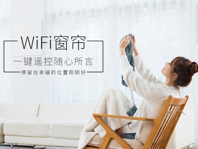 原工厂电动窗帘 智能窗帘 小米自动窗帘语音控制工程 酒店窗帘图3
