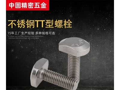 厂家供应304不锈钢T型防盗螺丝 GB37T型槽用螺栓T形压板五金螺丝价格面议图2