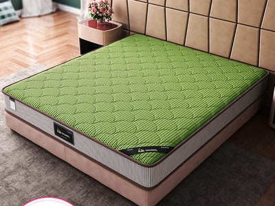 进口椰棕床垫1.8m3e环保席梦思1.5米护脊折叠床垫软硬适中床垫