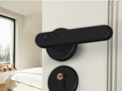 室内房间门一握开指纹可替换锁球形智能涂鸦手纹开锁卧室门指纹锁