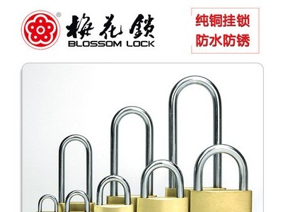 梅花锁薄铜挂锁加长锁梁铜锁可订制抽屉锁挂锁锁具批发家具锁图1
