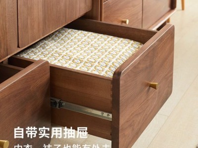 北欧黑胡桃木衣柜平开门4门卧室实木衣橱简约现代图2