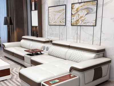 真皮沙发头层真皮组合客厅现代简约大小户型皮艺整装沙发1153B款