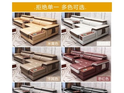 真皮沙发头层真皮组合客厅现代简约大小户型皮艺整装沙发1153B款图2