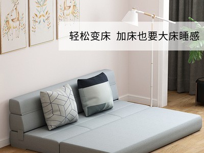 懒人沙发客厅阳台双人两用日式简约多功能小户型榻榻米折叠沙发床图2