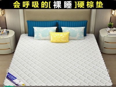 厂家定制天然椰棕床垫3E椰棕环保床垫1.8米 酒店宿舍学生床垫棕垫图2