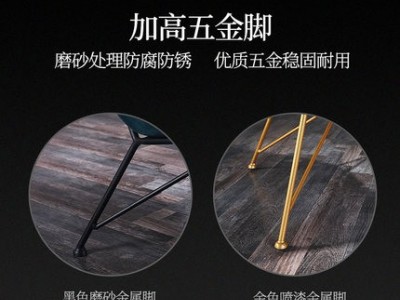 轻奢简约高背休闲椅图3