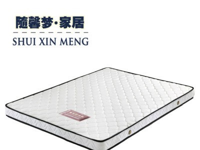 厂家椰棕弹簧床垫席梦思12CM薄高箱床垫1.5 1.8米双人3D床垫定制图5
