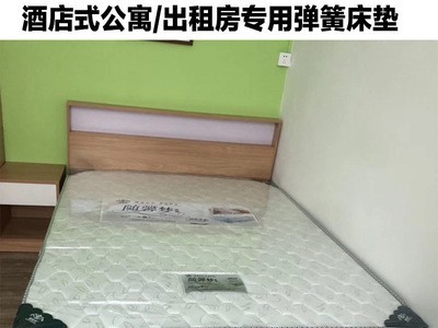酒店公寓宾馆双人椰棕弹簧床垫棕榈席梦思软硬两用厂家直销1.5m图2
