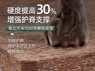 厂家定制椰棕乳胶床垫 护脊1.5米席梦思成人宿舍棕榈加硬床垫棕垫图4