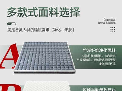 厂家定制椰棕乳胶床垫 护脊1.5米席梦思成人宿舍棕榈加硬床垫棕垫图3