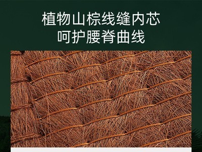 徐师傅儿童山棕床垫 榻榻米垫子婴儿无胶棕垫 可拆洗非椰棕床垫图3