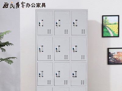 钢制员工铁皮更衣柜储物柜存包柜鞋柜碗柜职员多门柜存包柜24门柜图5