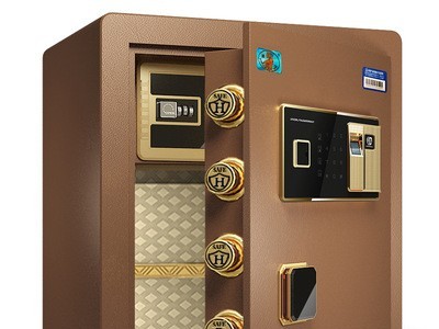 保险柜 家用指纹密码钢制入墙保险箱 文件档案资料柜保密柜图2