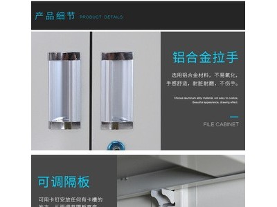 厂家批发简约钢制办公室文件柜铁皮档案柜档案橱资料带锁财务柜图3
