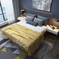 现代简约铁艺双人床 家用卧室1.5米1.8米轻奢铁架床 公寓单人床