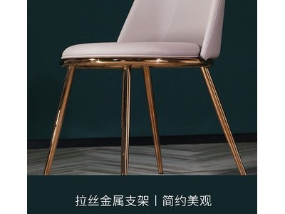 顶冠北欧餐椅家用轻奢网红椅子金属皮艺椅现代简约客厅餐厅图2