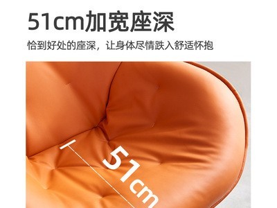 单人沙发椅北欧轻奢阳台休闲椅子客厅旋转极简现代单椅老虎椅美式图4