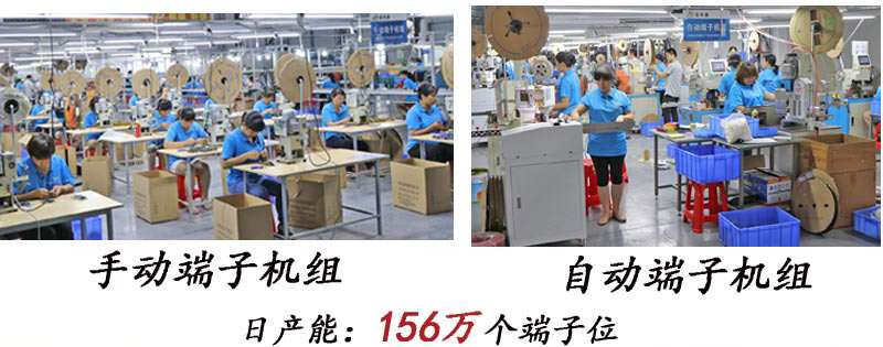 排线定制
