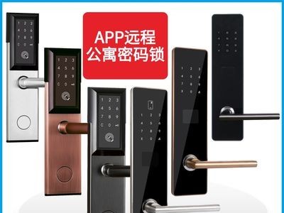 远程APP公寓密码锁手机蓝牙智能锁出租房民宿锁家用防盗门刷卡锁图2